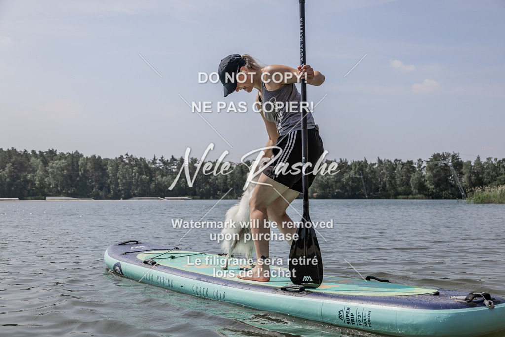 BUHU_SUP_650 | nelerasche
