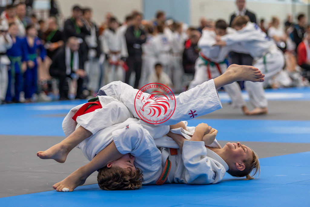 Internationaler Adler Cup 2024 | Foto vom Internationalen Adler Cup Judo Turnier im Sport- und Freizeitzentrum Kalbach im Oktober 2024 - Realisiert mit Pictrs.com