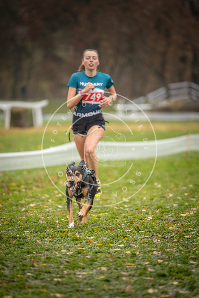 CaniXpix_DV3A9362 | Hundefotografie, Tierfotograf, Pfotenfotografie, Fotoshooting Hund, Hunde Portrait, Hundesport, Hundeportraits, Heideshooting, Hunde, Sportfotograf, Hundefotograf, Turnierhundsport, THS,  - Realisiert mit Pictrs.com