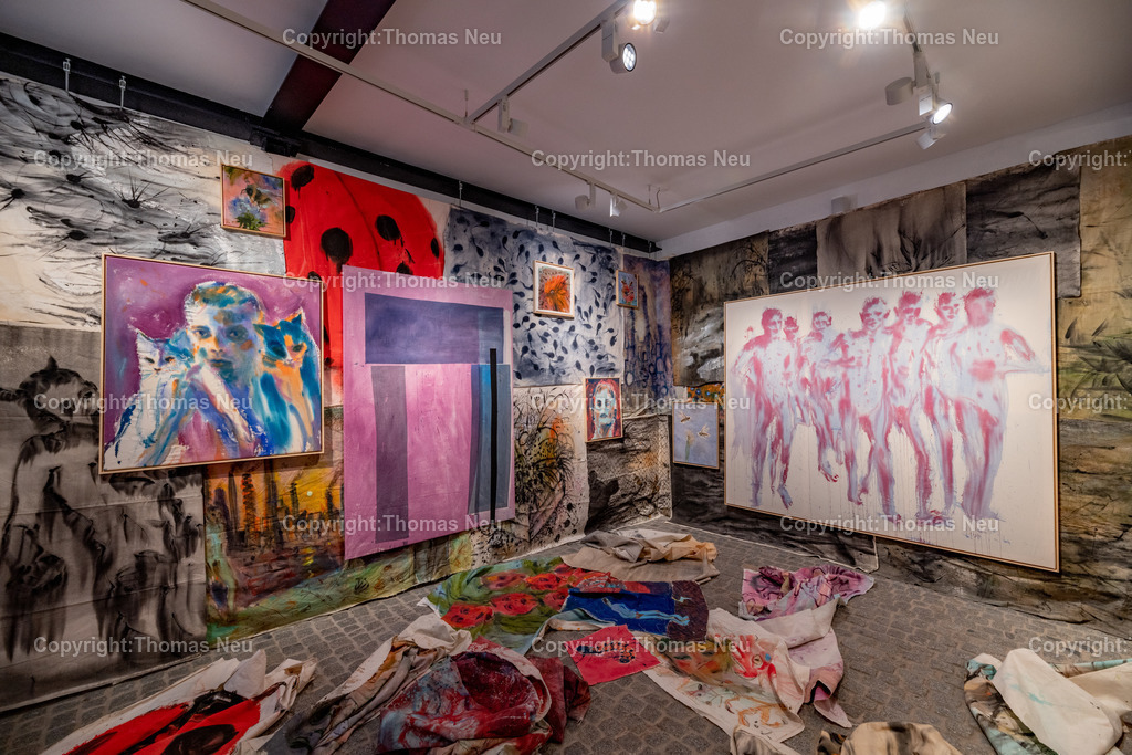 DSC_6095 | Bensheim, Museum der Stadt, Ausstellung „The last Party of Diversity“ im Museum Bensheim zeigt Werke des Künstlers Andrej Dúbravský, Bild: Thomas Neu