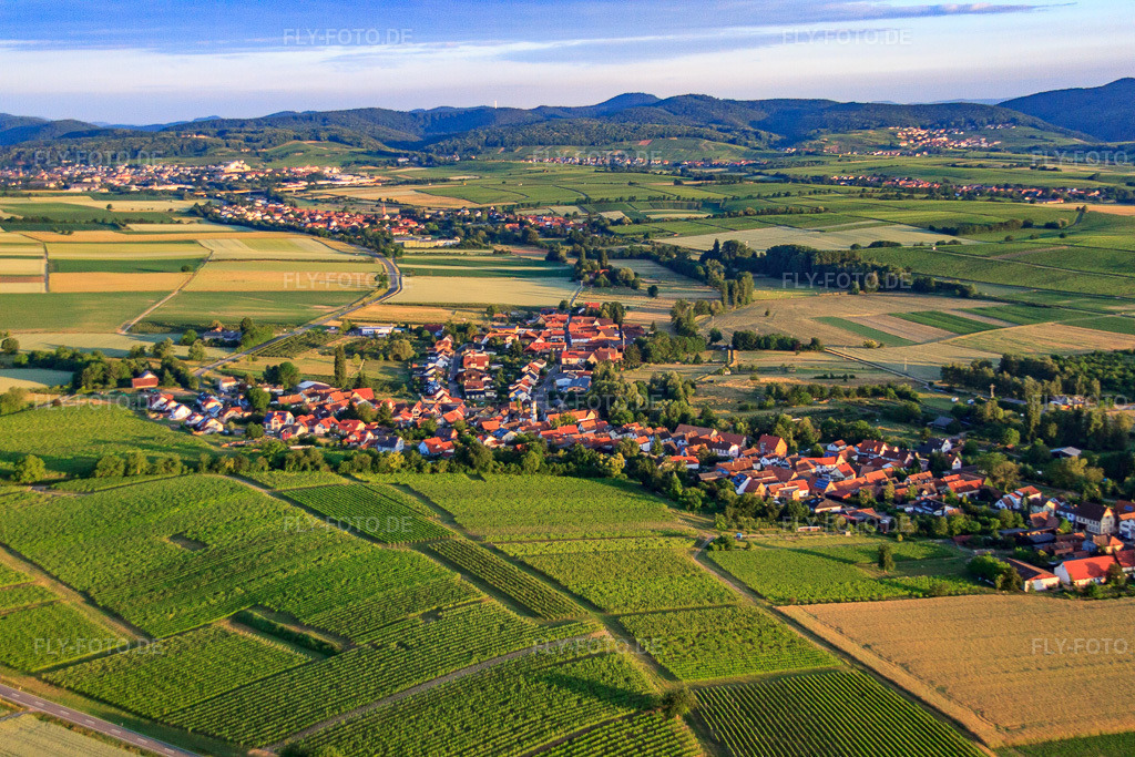 Luftbild: Dorfansicht am Morgen aus Osten in Oberhausen im Bundesland Rheinland-Pfalz in Deutschland. Foto: IMG_67814.jpg vom 14.06.2014 durch Werner Riehm/FLY-FOTO.de