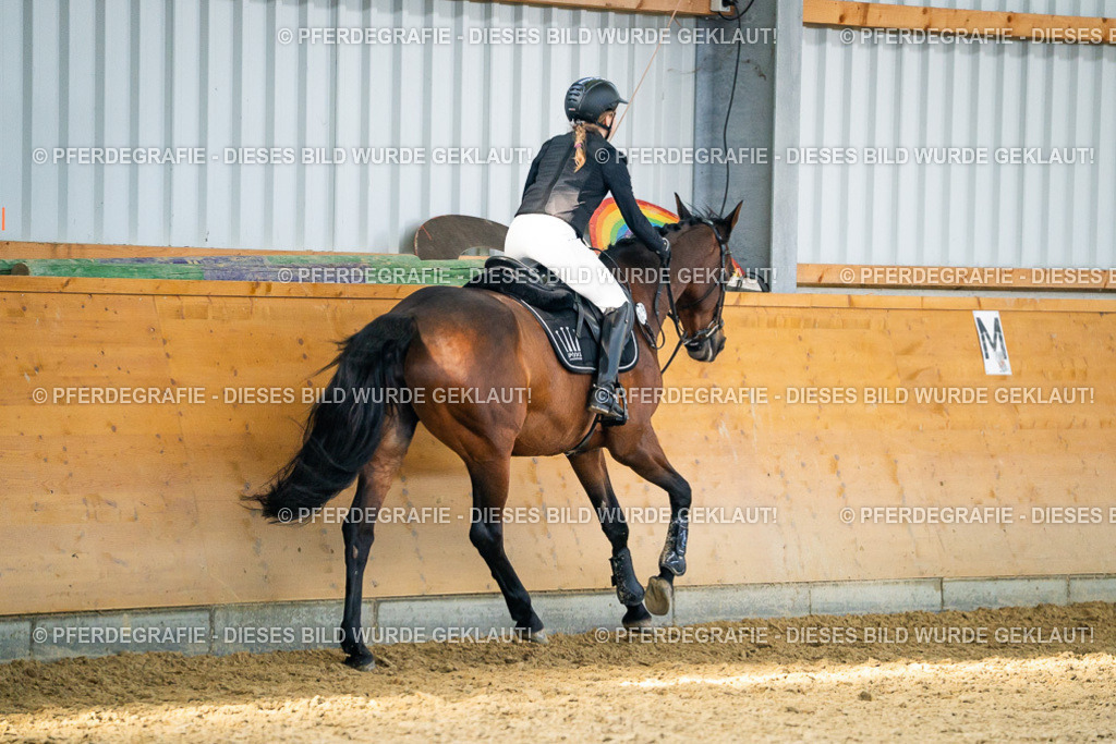 DSC01146 | Pferdegrafie