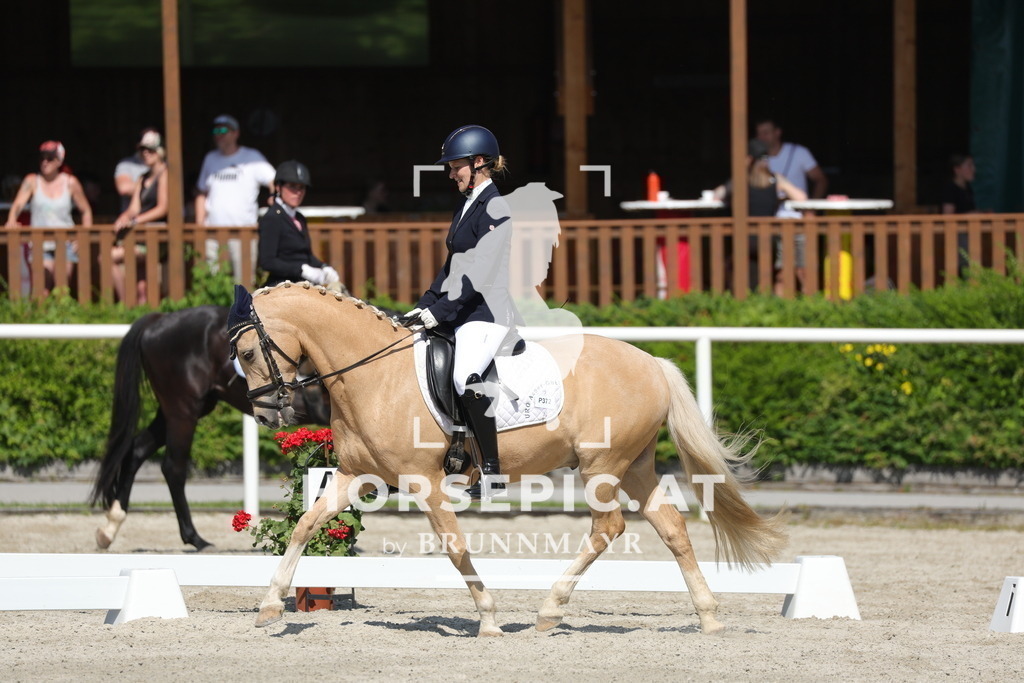 0P6A0586 | Willkommen bei Brunnmayr - Design & Fotografie – Ihrem Spezialisten für Reitturniere und Pferdeveranstaltungen in Oberösterreich, Salzburg und Bayern! Seit über 17 Jahren sind wir leidenschaftlich dabei.