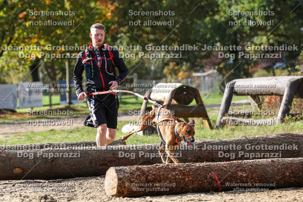 Dog Paparazzi - Strongdog 10-25-5329 | Dog Paparazzi Jeanette Grottendiek Fotografie & Videografie - Realisiert mit Pictrs.com