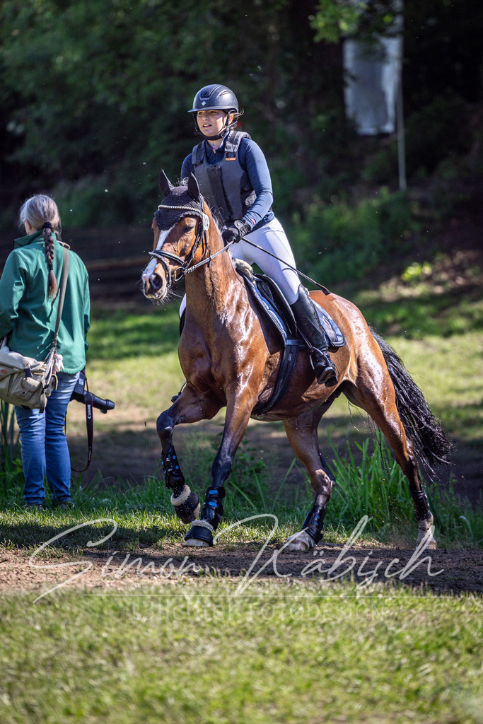 20260523-_3LI6819 | Tierfotografie Pferde, Hunde, Katzen, Haustiere.
Turnierfotografie Reitturniere, Reiten, Springreiten, Dressur in Hanau, dem Main-Kinzig-Kreis und dem Rhein-Main- Gebiet um Frankfurt