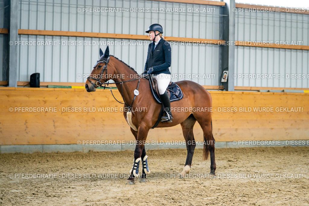 DSC00554 | Pferdegrafie