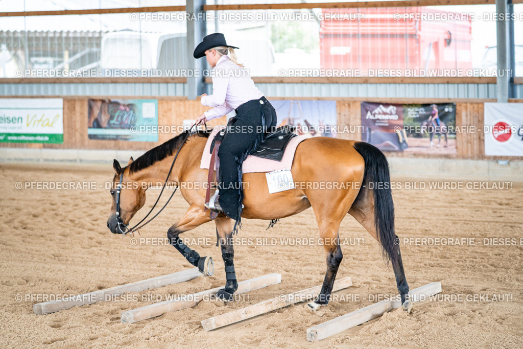 DSC09086 | Pferdegrafie