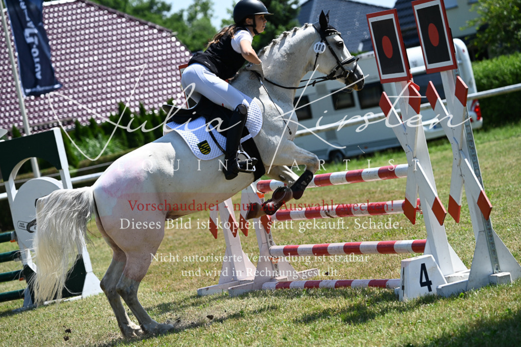 DSC_0847 | Pferde- und Turnierfotografie in Westsachsen. Pferdeportraits, Auftragszeichnungen und intuitive Kunst.