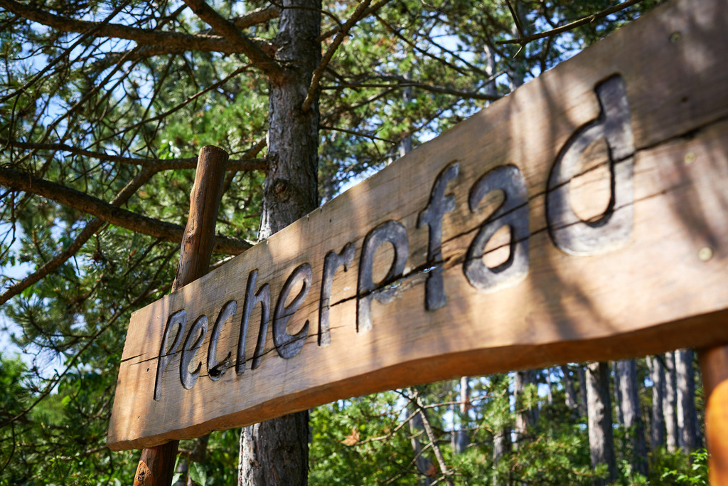 Pecher Gerhold Wöhrer | Matzendorf-Hölles, Austria - July 04, 2019: Pecherpfad in Hölles mit Pecher Gerhold Wöhrer; Eingang zum Pecherpfad. - Realisiert mit Pictrs.com