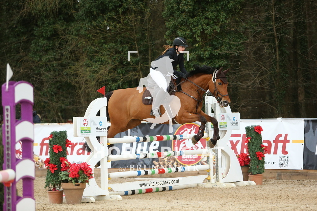 DL2Q3223 | Willkommen bei Brunnmayr - Design & Fotografie – Ihrem Spezialisten für Reitturniere und Pferdeveranstaltungen in Oberösterreich, Salzburg und Bayern! Seit über 17 Jahren sind wir leidenschaftlich dabei.