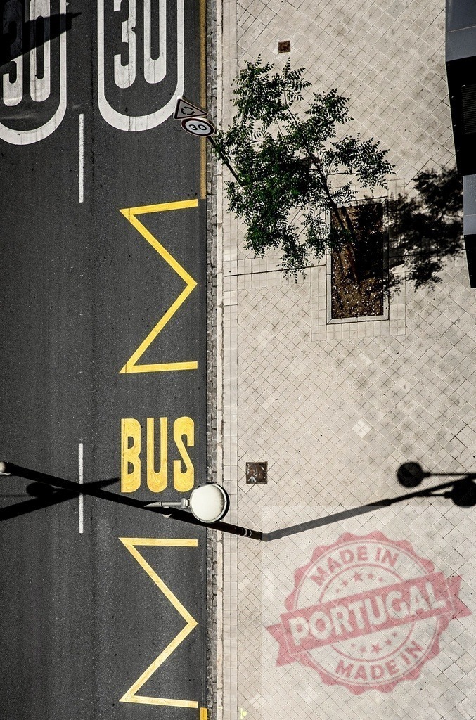 Aerial view of bus lane markings and speed limit 30 | Asphalt road with bus lane, speed limit sign, tree, pavement, and lamp post shadows - Realized with Pictrs.com