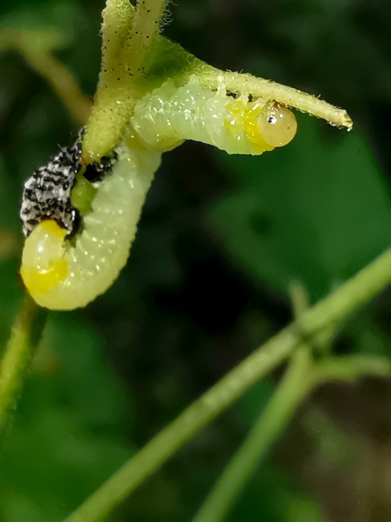 PSX_20230830_225843 | mtkfoto_ - Realisiert mit Pictrs.com