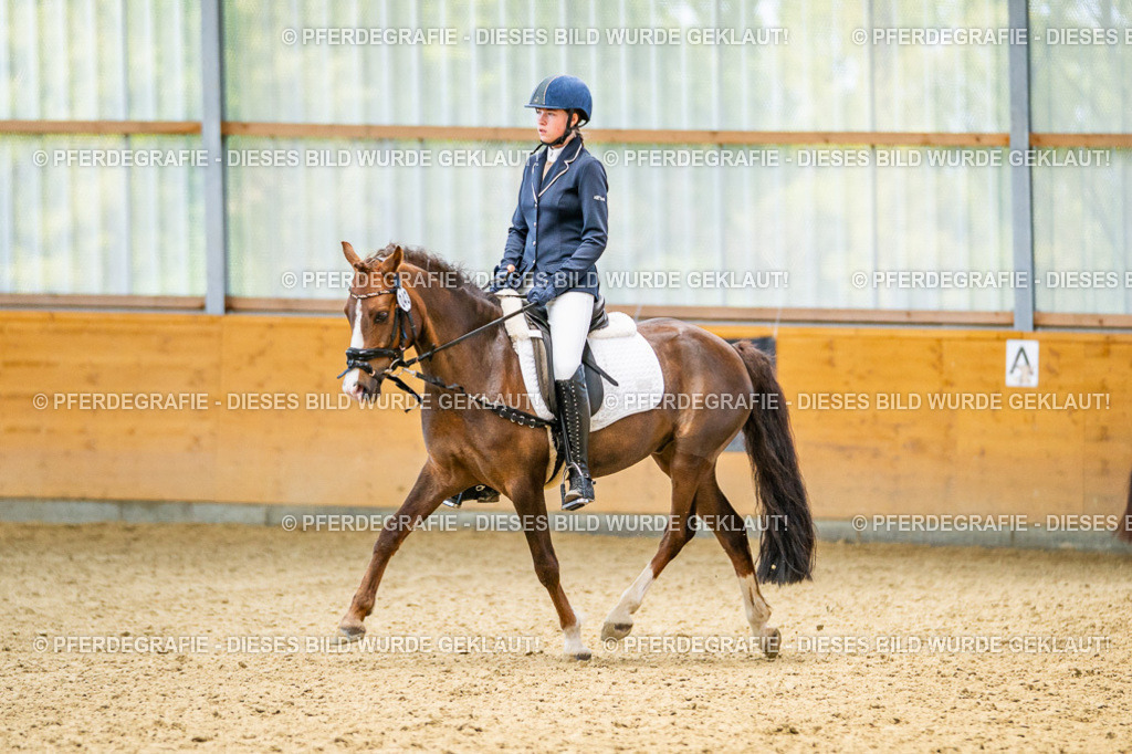 DSC03589 | Pferdegrafie