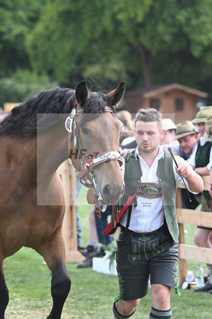 Kat-Nr. 68 Premisse_Gasteiger_20231109 | hf-fotografie - Realisiert mit Pictrs.com