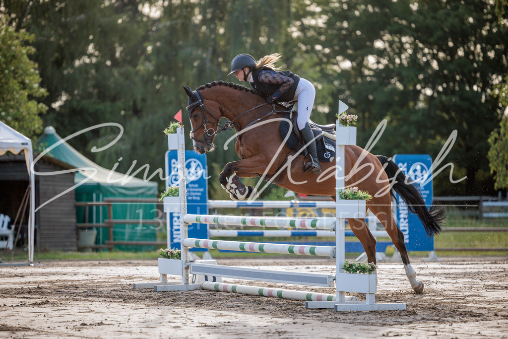 20260529-_3LI1004 | Tierfotografie Pferde, Hunde, Katzen, Haustiere.
Turnierfotografie Reitturniere, Reiten, Springreiten, Dressur in Hanau, dem Main-Kinzig-Kreis und dem Rhein-Main- Gebiet um Frankfurt