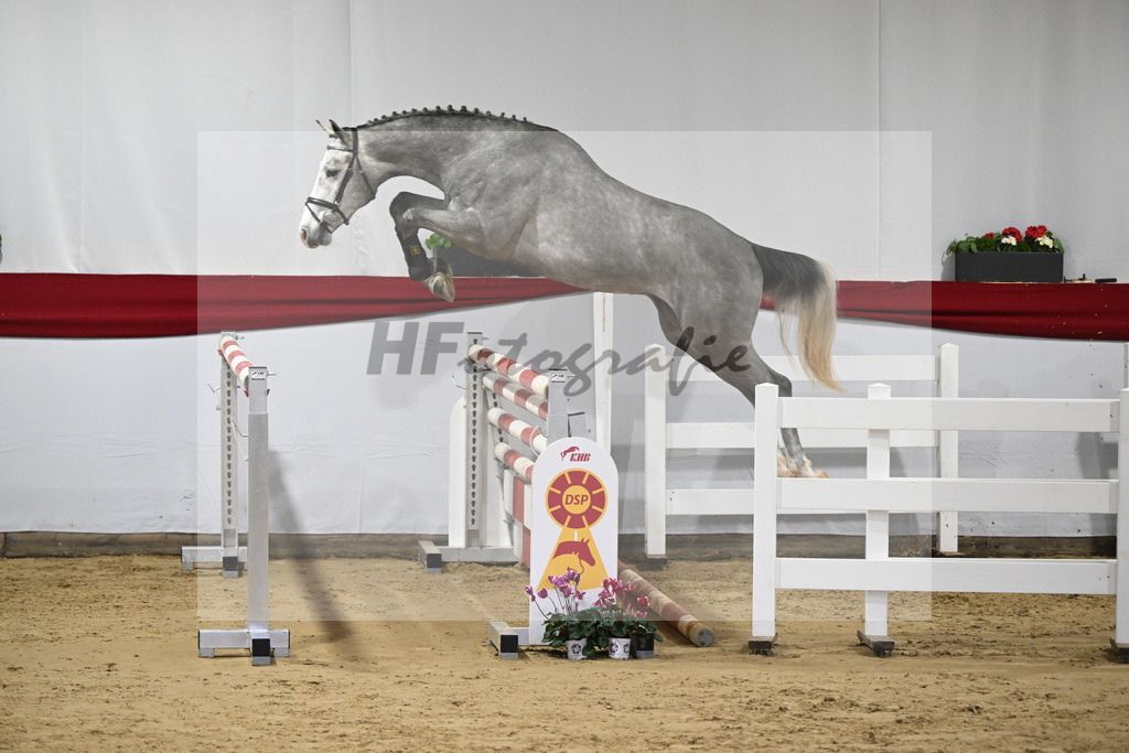 Kat-Nr. 44 v. Karajan_Mueller_63221058 | hf-fotografie - Realizzato con Pictrs.com