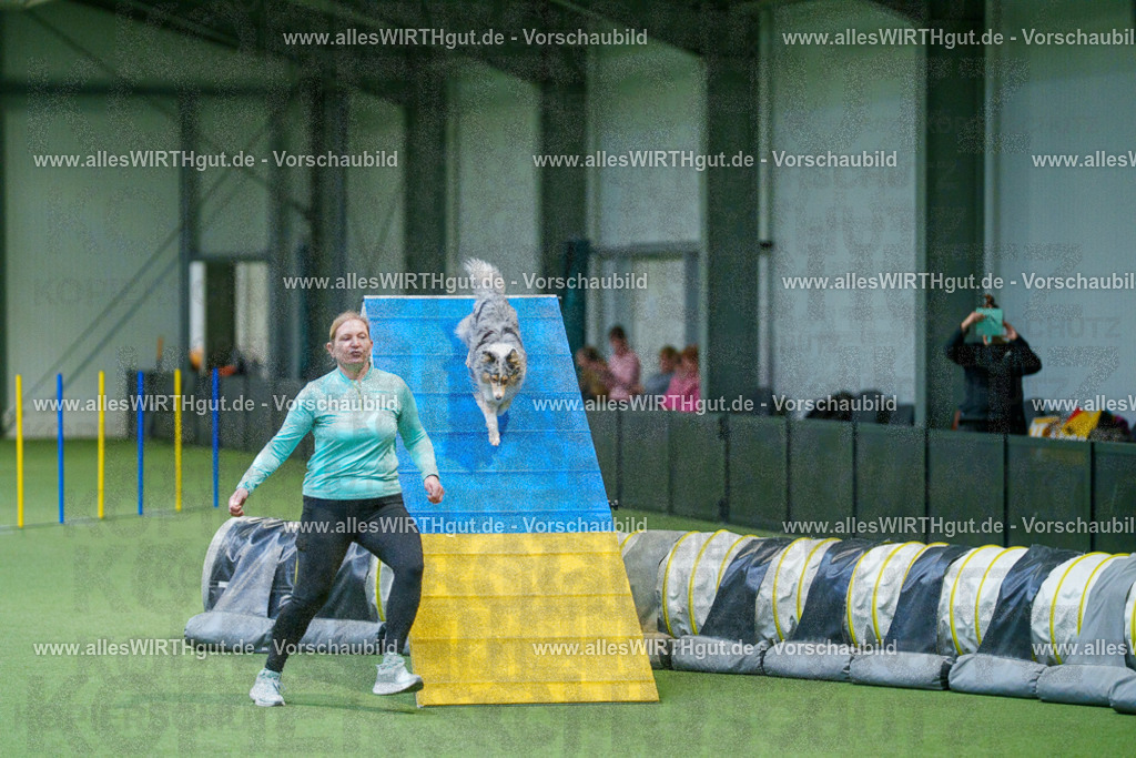 @allesWIRTHgut_Tierfotografie - www.allesWIRTHgut.de - 2604250844-7R507610 | Professionelle Tierfotografie in Mönchengladbach von Daniel Wirth (allesWIRTHgut). Liebevolle & natürliche Bilder von Hunden & Katzen für unvergessliche Erinnerungen.