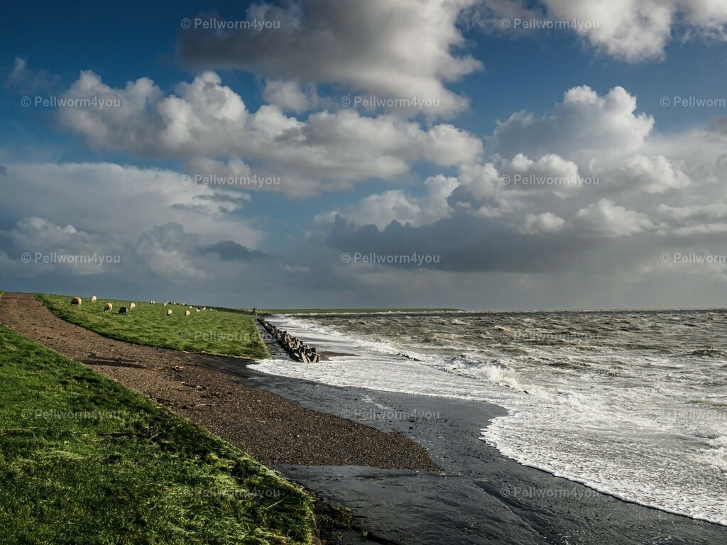 pellworm-kalender-2024-32-denoise-enhance-2x-sharpen | Pellwormer Bilder und Fotos als Poster, auf Leinwand mit Keilrahmen, hinter Acrylglas, auf Alu-Dibond oder Forex-Platte und vieles mehr. Zum verschenken, für die Ferienwohnung oder für zu Hause. - Realisiert mit Pictrs.com