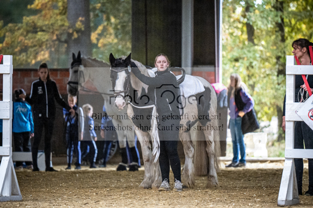 DOS_0001 | Entdecke hochwertige Reitturnierfotos von Foto Oger. Professionell, emotional und authentisch – jetzt Lieblingsmomente im Shop bestellen.Deutschlandweite Turnierfotografie. - Realisiert mit Pictrs.com