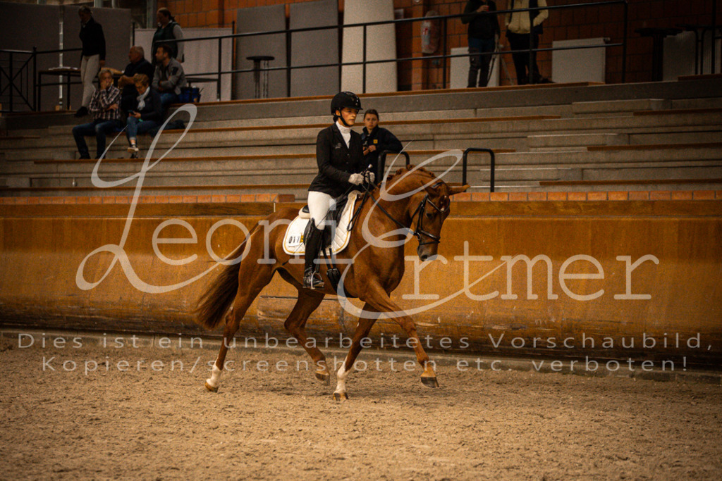 1Reiten00258 | Leoni Ertmer Photography - Realisiert mit Pictrs.com