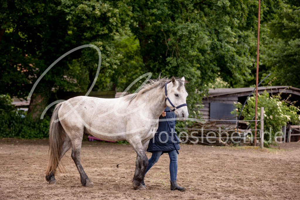 846A0656 | fotosleben - Realisiert mit Pictrs.com