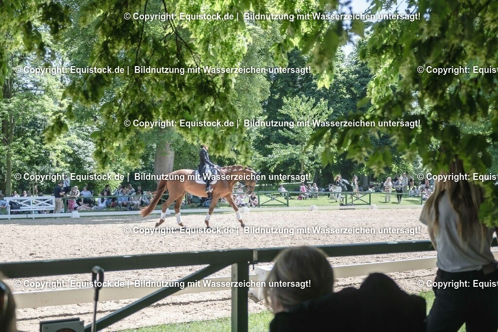 ZFC_4221 | equistock