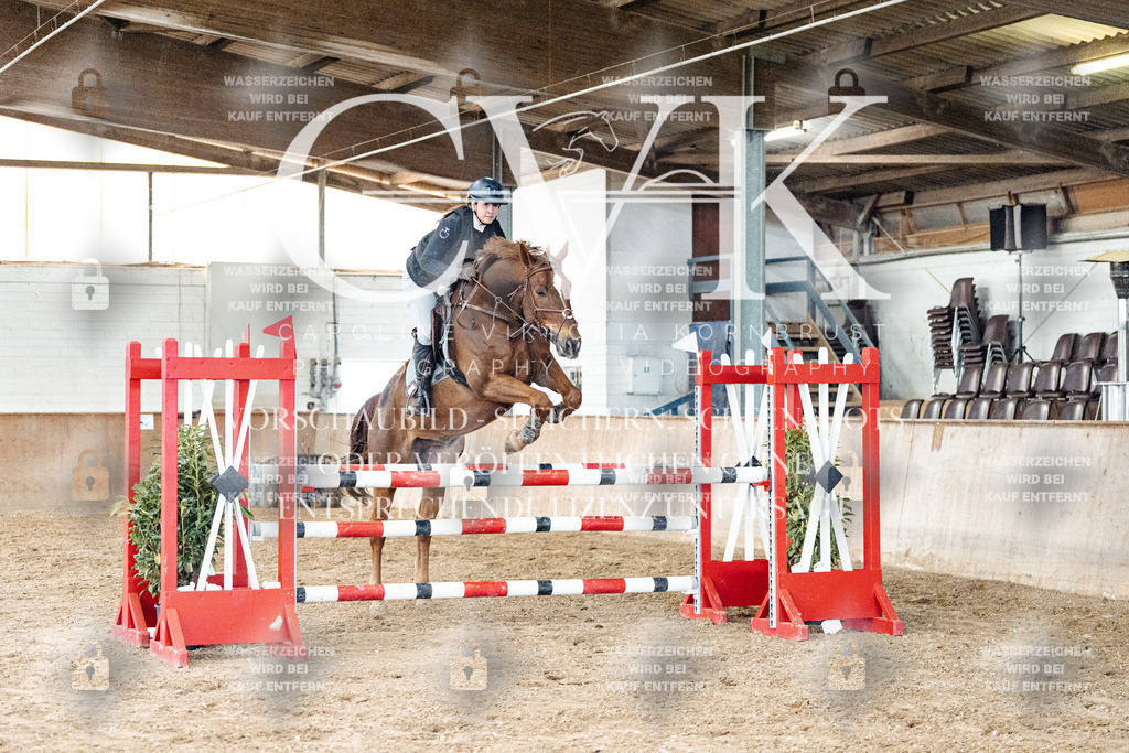 CK906164 | Turnierfotografie Pferdefotografie Trier Rheinland-Pfalz Pferdesport Reitsport Tierfotografie Sportfotografie Pferdevideo Pferdevideografie Equestrianvideography equestrianphotography  - Realized with Pictrs.com