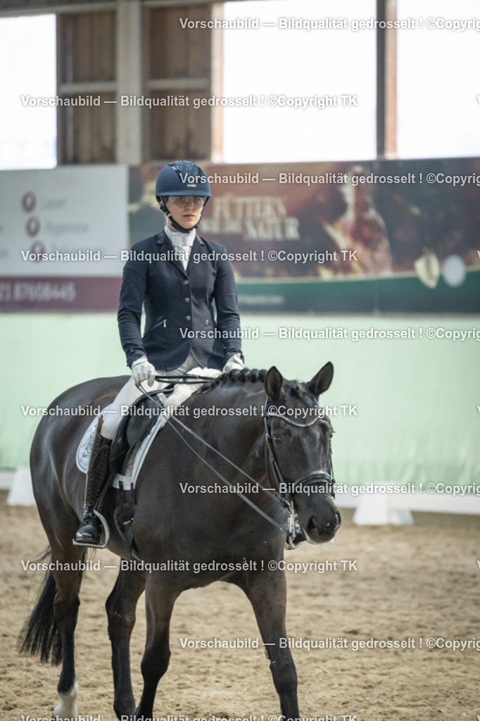 _D5A3549 | Emotionale Pferde- & People-Fotografie rund um Heidelberg, Leimen & Umgebung. Natürliche Fotos von Pferd, Mensch & Familie. Jetzt Termin sichern!