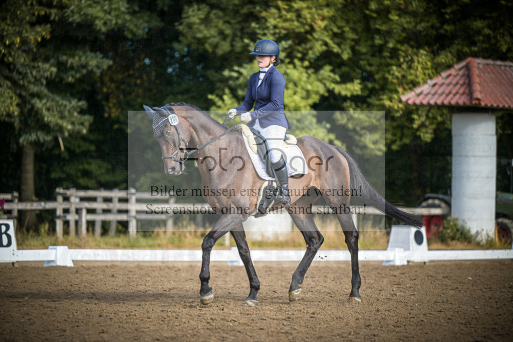 DOS_0388 | Entdecke hochwertige Reitturnierfotos von Foto Oger. Professionell, emotional und authentisch – jetzt Lieblingsmomente im Shop bestellen.Deutschlandweite Turnierfotografie. - Realisiert mit Pictrs.com