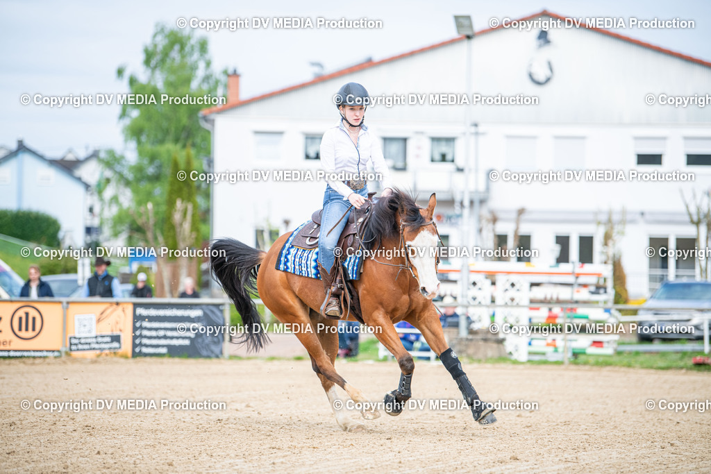 Heiligenwald Tag 1-2499 | dv-media-shop - Realisiert mit Pictrs.com