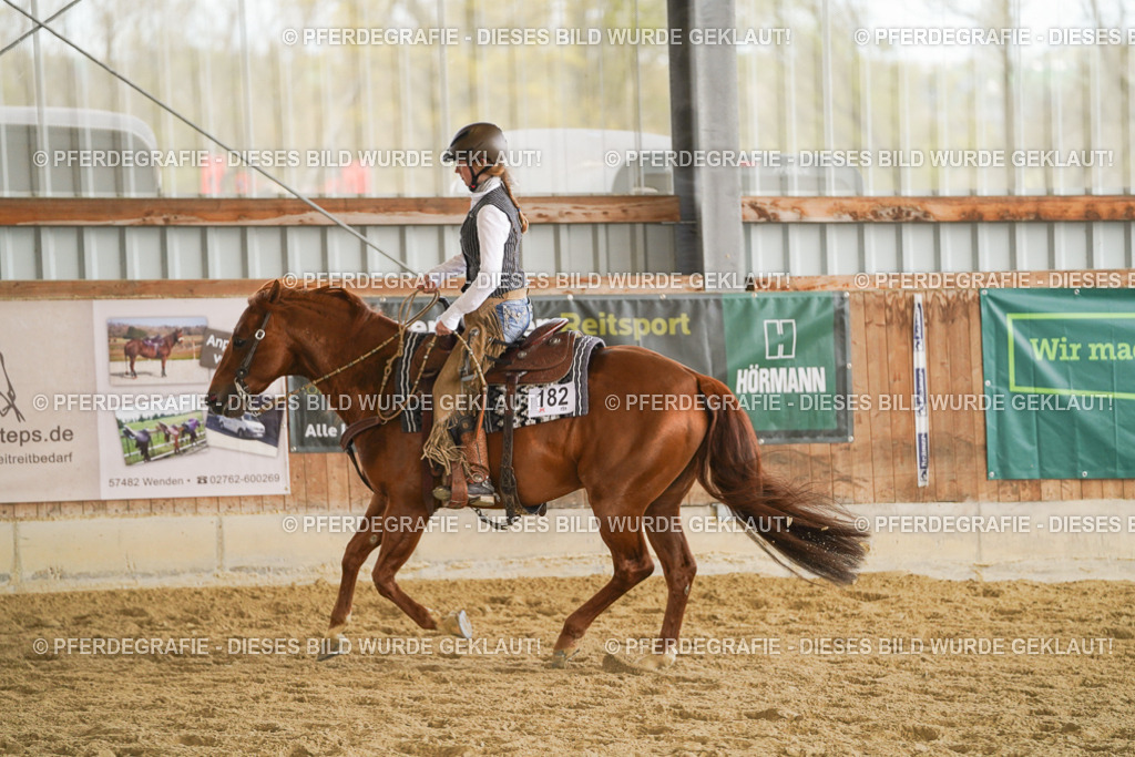 DSC08685 | Pferdegrafie