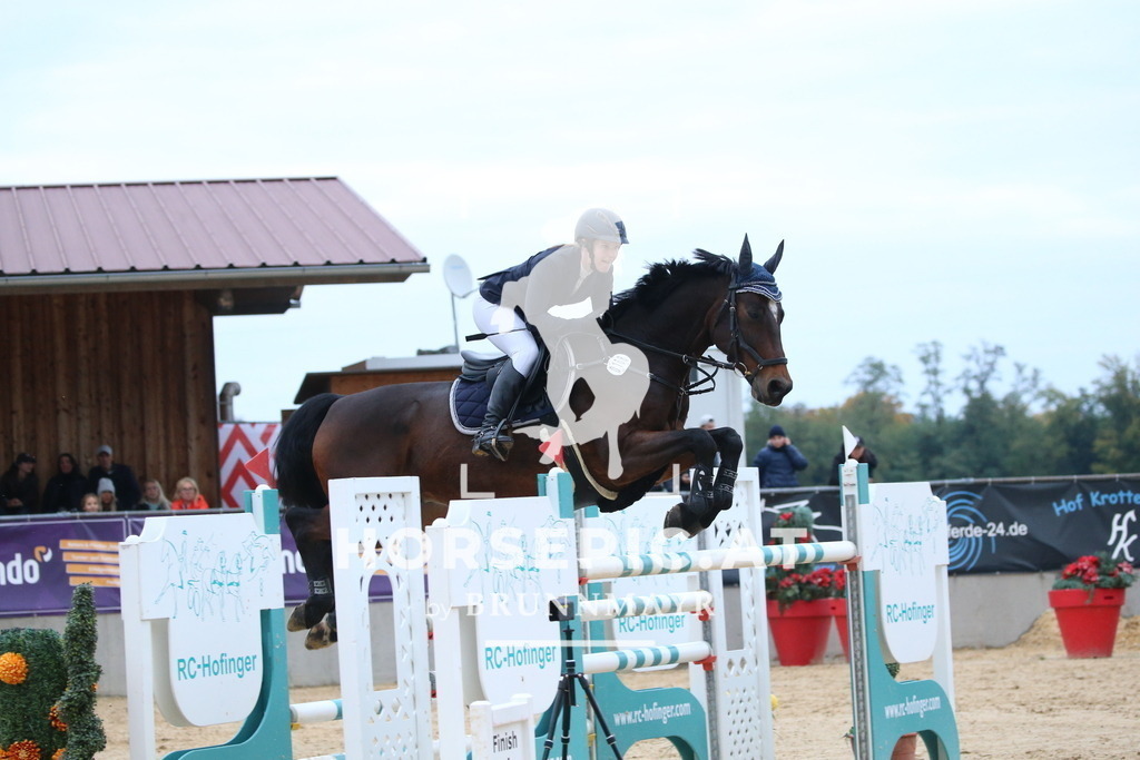 DL2Q6423 | Willkommen bei Brunnmayr - Design & Fotografie – Ihrem Spezialisten für Reitturniere und Pferdeveranstaltungen in Oberösterreich, Salzburg und Bayern! Seit über 17 Jahren sind wir leidenschaftlich dabei.