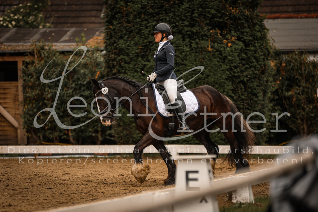 DoDrE00293 | Leoni Ertmer Photography - Realisiert mit Pictrs.com