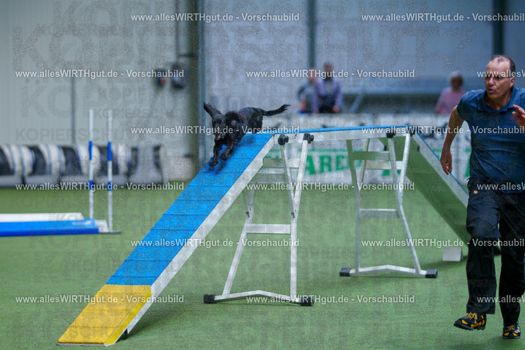 @allesWIRTHgut_Tierfotografie - www.allesWIRTHgut.de - 2604260825-7R506863 | Professionelle Tierfotografie in Mönchengladbach von Daniel Wirth (allesWIRTHgut). Liebevolle & natürliche Bilder von Hunden & Katzen für unvergessliche Erinnerungen.