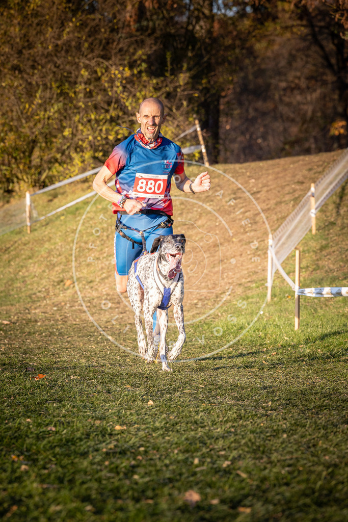 CaniXpix_0L8A1104 | Hundefotografie, Tierfotograf, Pfotenfotografie, Fotoshooting Hund, Hunde Portrait, Hundesport, Hundeportraits, Heideshooting, Hunde, Sportfotograf, Hundefotograf, Turnierhundsport, THS,  - Realisiert mit Pictrs.com