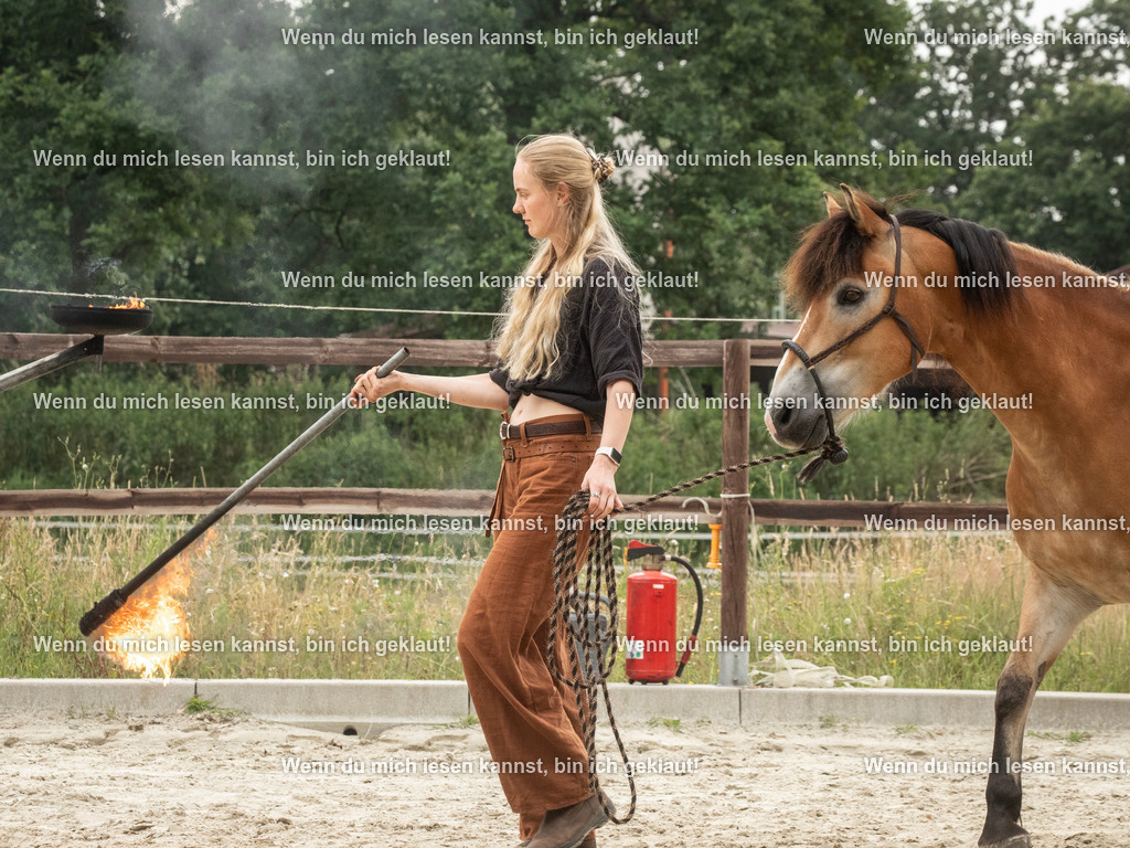 598A7213 | photographylinaismer - Realisiert mit Pictrs.com