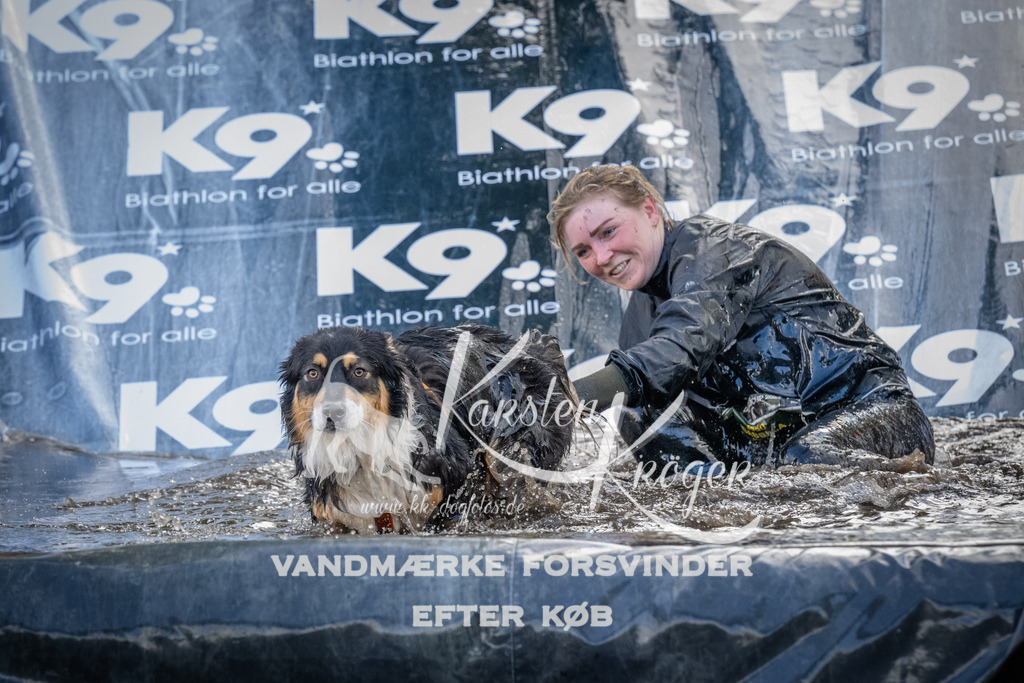 1522_ZZ94524 | kk-dogfotos
