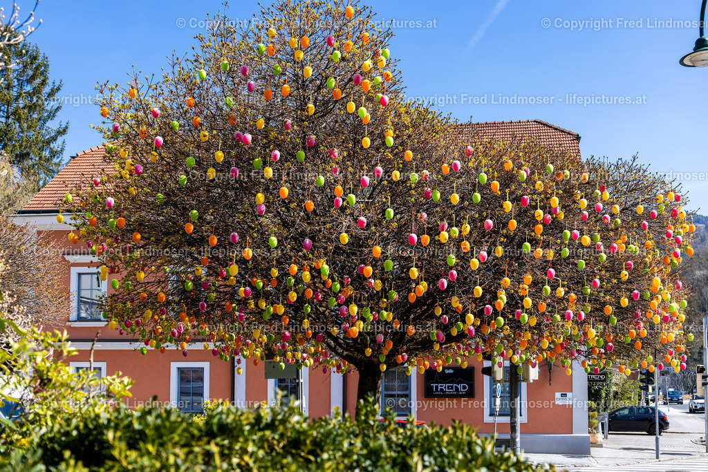 Frohnleiten Ostern Osterdeko 2022-5949 | Fotos und Fotoprodukte - Realisiert mit Pictrs.com