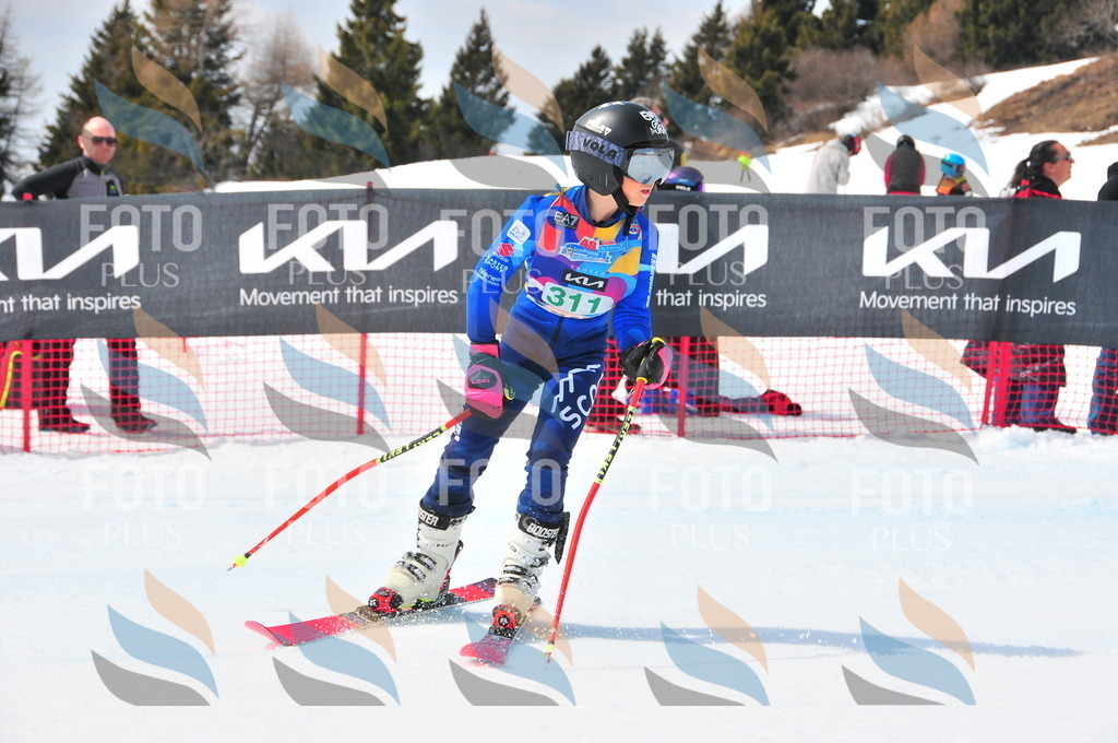 DSC_2878 | holidayphoto