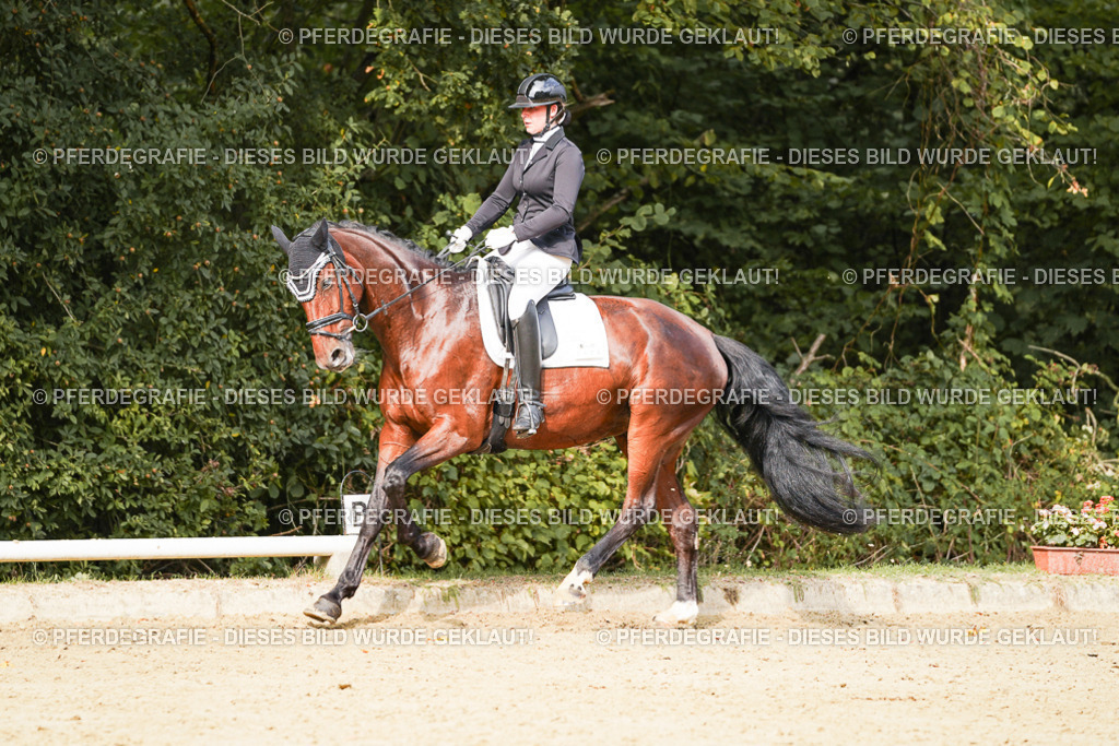 DSC03532 | Pferdegrafie