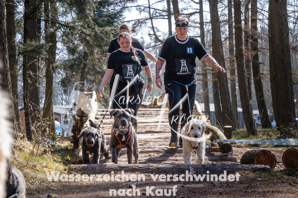1310_ZZ94525 | kk-dogfotos