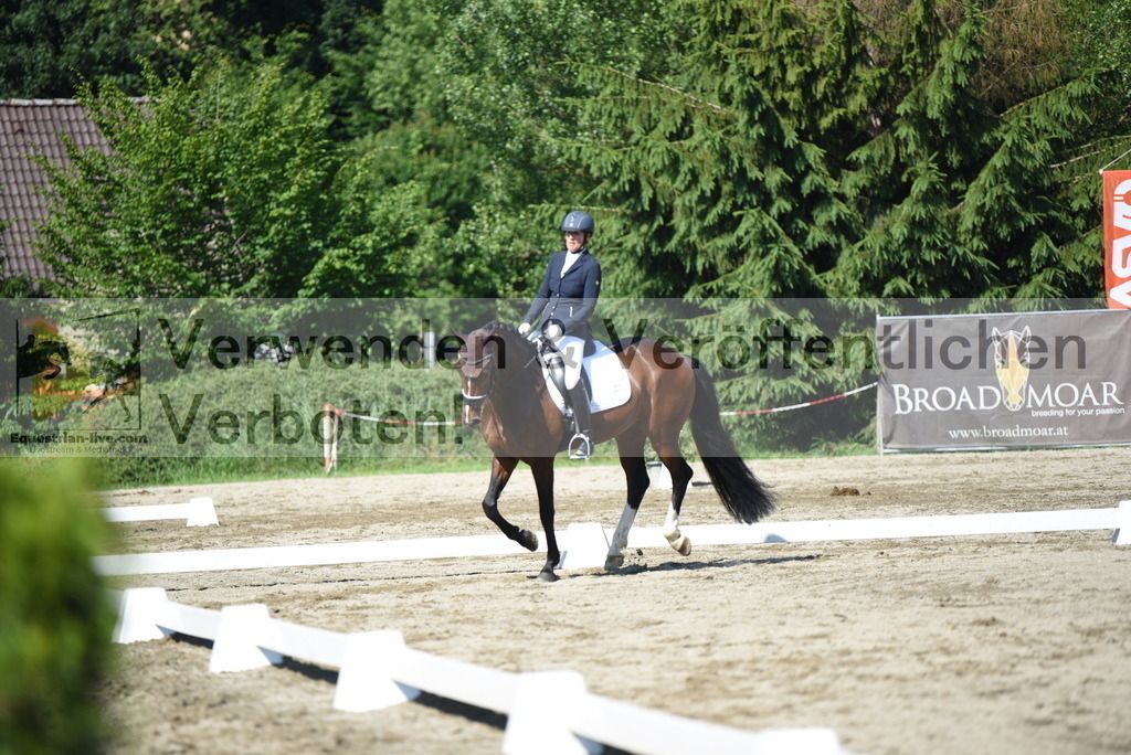 DSC_7767 | equestrian-live-com