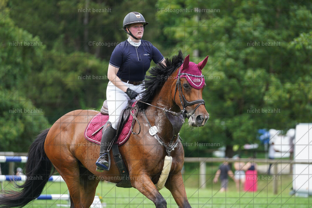 20240706-FAH06297 | Grafing Turnierfotos, Reitverein Ebersberg, Turnierfotografen Bayern, reitsportbilder, Pferdefotograf, reitsportfotograf, Sportbilder, Reitsportfotografie, Fotoagentur Herrmann, Turnierfotograf
