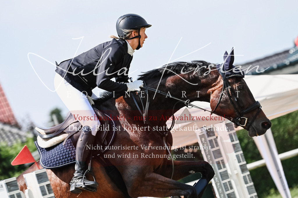 DSC_8770 | Pferde- und Turnierfotografie in Westsachsen. Pferdeportraits, Auftragszeichnungen und intuitive Kunst.