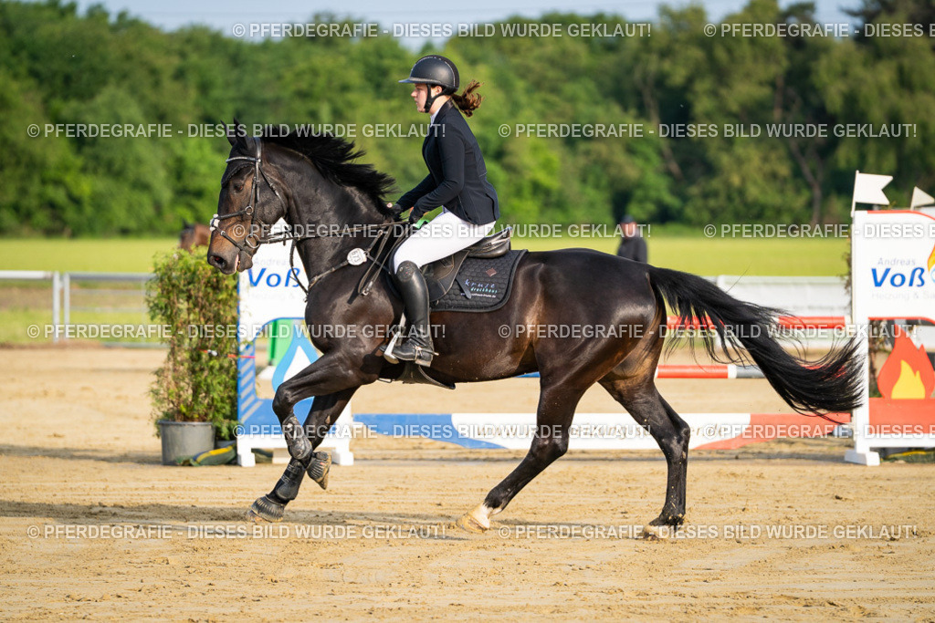 DSC02112 | Pferdegrafie