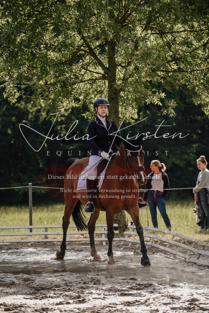 DSC_8996 | Pferde- und Turnierfotografie in Westsachsen. Pferdeportraits, Auftragszeichnungen und intuitive Kunst.