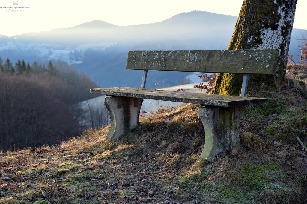 Ausruhen | Fotoblog Schwarzwald, Foto Blog Wiesental, Pfaffenberg, Winterzauber, Zeller Bergland, Zell im Wiesental, Fotoblog Wiesental, Landschaftsfotos, Bilder Wiesental, Natur, Naturbilder, Fastnacht, Zeller Fastnacht, Zeller Fasnacht, Zeller Bergland, Belchen, - Realisiert mit Pictrs.com