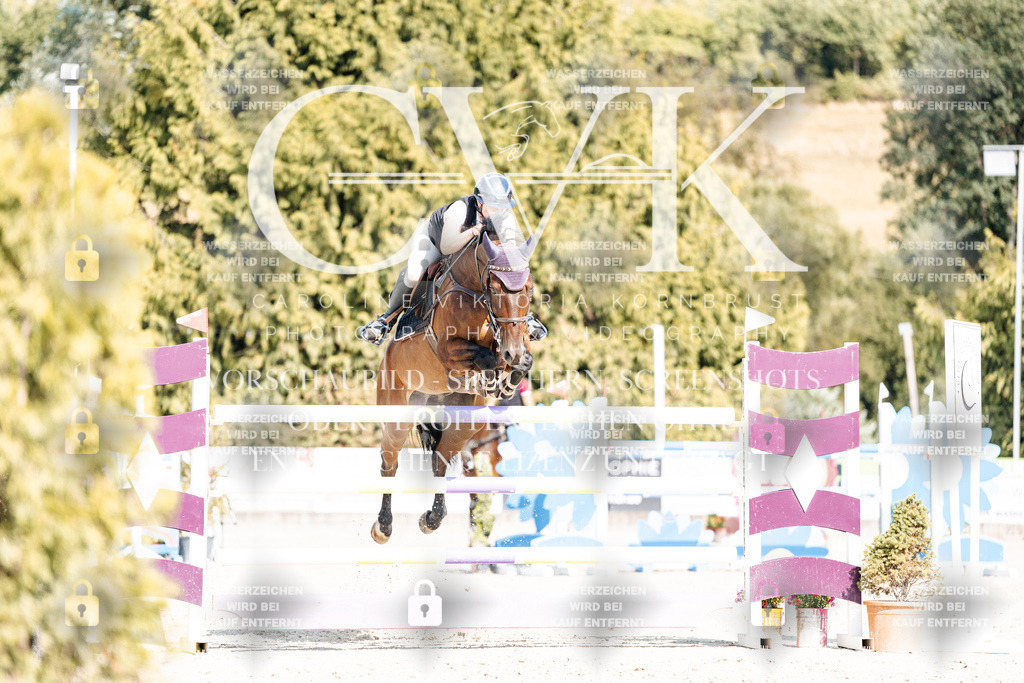 CK909110 | Turnierfotografie Pferdefotografie Trier Rheinland-Pfalz Pferdesport Reitsport Tierfotografie Sportfotografie Pferdevideo Pferdevideografie Equestrianvideography equestrianphotography  - Realisiert mit Pictrs.com