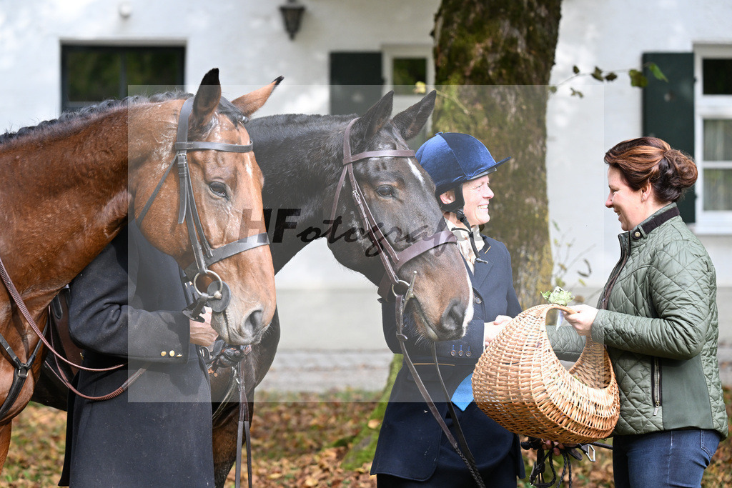 40250998 | hf-fotografie - Realisiert mit Pictrs.com
