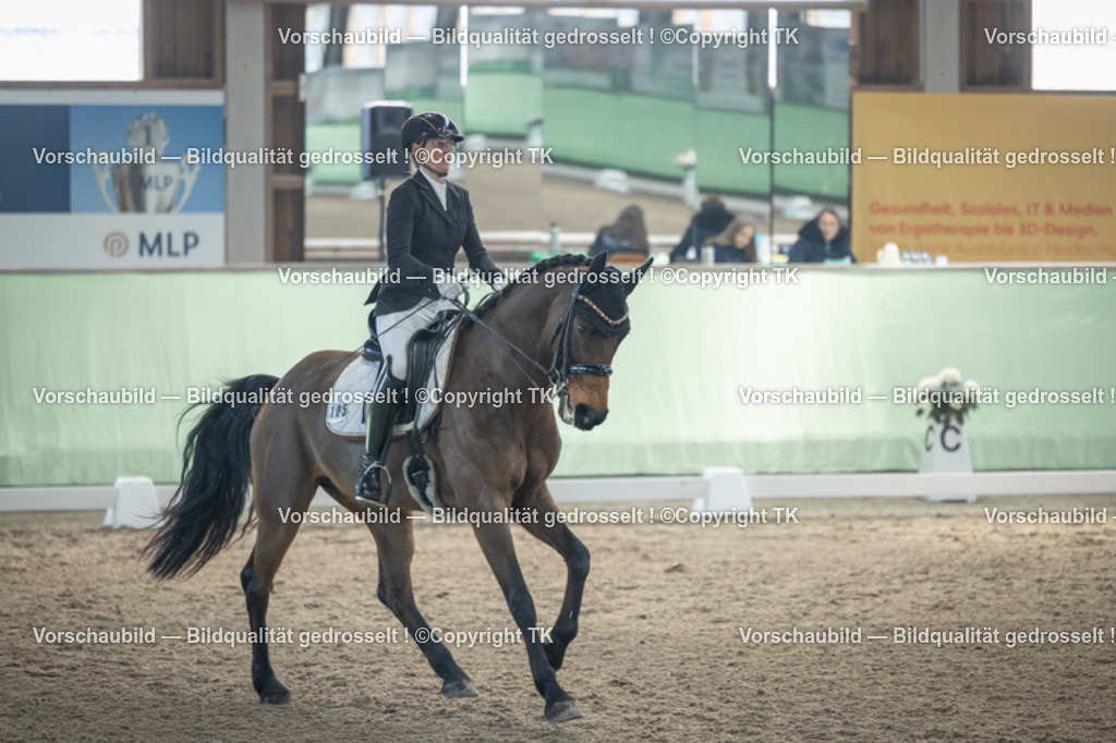 _D5A4369 | Emotionale Pferde- & People-Fotografie rund um Heidelberg, Leimen & Umgebung. Natürliche Fotos von Pferd, Mensch & Familie. Jetzt Termin sichern!